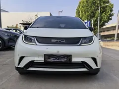 2023 BYD Dolphin 420km Fashion, белый — фото 2