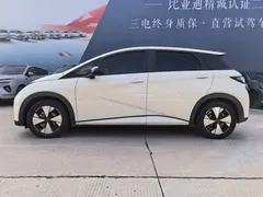 2023 BYD Dolphin 420km Fashion, белый — фото 3