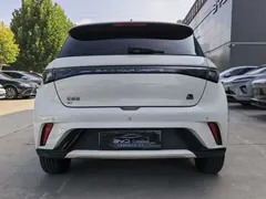 2023 BYD Dolphin 420km Fashion, белый — фото 4