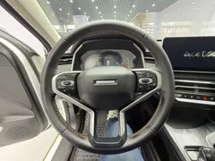 2022 Haval Chitu 1.5T, белый — фото 11