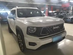 2023 Haval Dargo PLUS 2.0T 2WD Plus, белый — фото 3