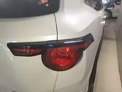 2023 Haval Dargo PLUS 2.0T 2WD Plus, белый — фото 6