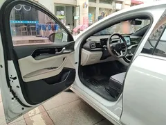 2023 BYD Qin PLUS Champion DM-i PHEV 120km, белый — фото 12