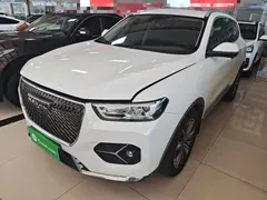 2021 Haval H6 1.5T AT Champion, белый — фото 2