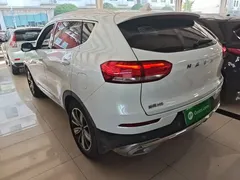 2021 Haval H6 1.5T AT Champion, белый — фото 5