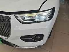 2021 Haval H6 1.5T AT Champion, белый — фото 23