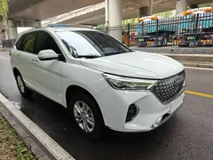 2023 Haval M6 Plus 1.5T MT Elite, белый — фото 2