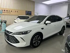 2025 BYD Qin PLUS DM-i PHEV 55km Exceed Smart Driving, белый — фото 1