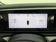 2025 BYD Sea Lion 05 EV 520km Smart Navigation — фото 15