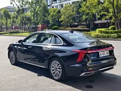 2023 Hongqi H5 2.0T AT Smart Connect, чёрный — фото 14