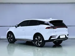 2023 BYD Tang DM-i PHEV Champion 112KM Premium, белый — фото 4