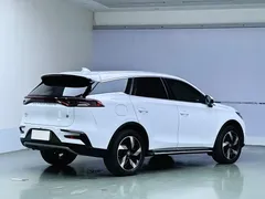 2023 BYD Tang DM-i PHEV Champion 112KM Premium, белый — фото 6