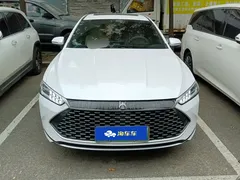 2024 BYD Qin PLUS Honor Edition DM-i 120KM Leading, белый — фото 2