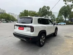 2022 Haval Dargo 1.5T DCT 2WD Labrador, белый — фото 9
