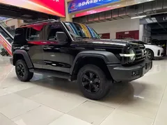 2021 Tank 300 Off-road 2.0T Conqueror, чёрный — фото 3