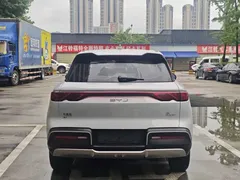 2024 BYD Yuan UP 401km Leading — фото 8