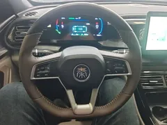 2024 BYD Qin PLUS Honor DM-i PHEV 55km Leading — фото 11