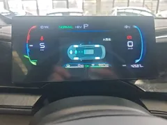 2024 BYD Qin PLUS Honor DM-i PHEV 55km Leading — фото 12