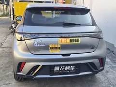 2023 BYD Dolphin 420km Freedom — фото 8