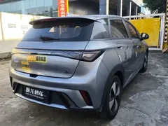 2023 BYD Dolphin 420km Freedom — фото 9
