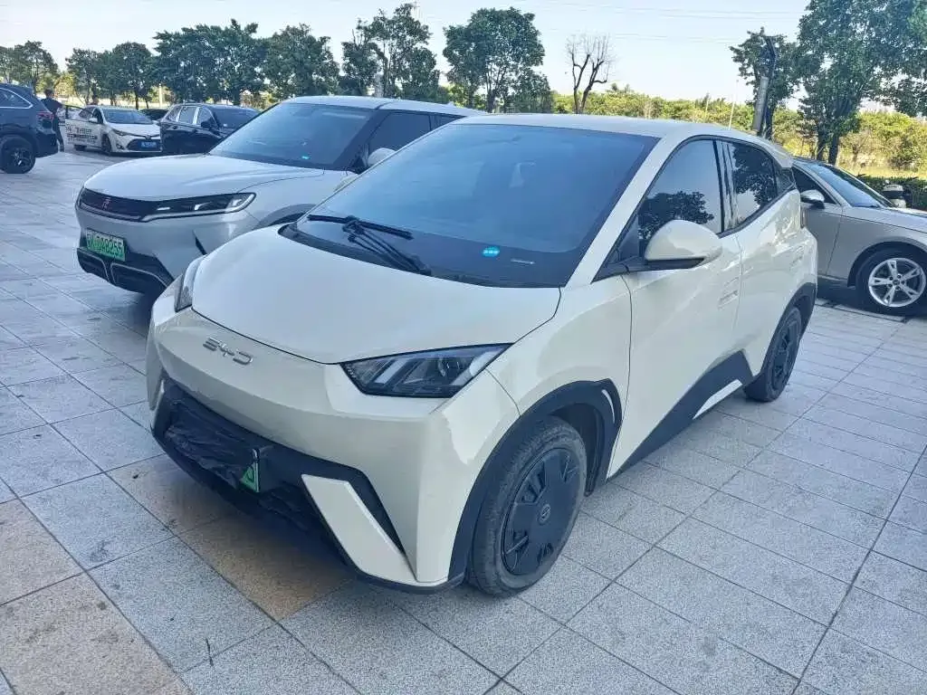 2023 BYD Seagull Vitality
