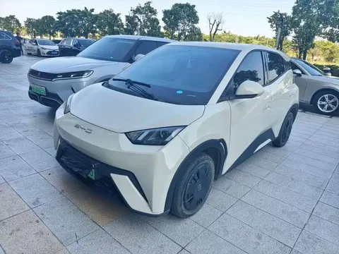 2023 BYD Seagull Vitality