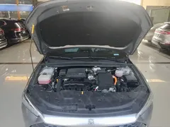 2024 BYD Qin PLUS Honor DM-i PHEV 55km Leading — фото 20