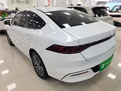 2023 BYD Qin PLUS Champion EV 510km, белый — фото 5