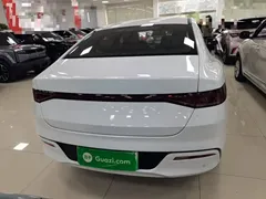 2023 BYD Qin PLUS Champion EV 510km, белый — фото 6