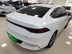 2023 BYD Qin PLUS Champion EV 510km, белый — фото 7