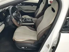 2023 BYD Qin PLUS Champion EV 510km, белый — фото 15