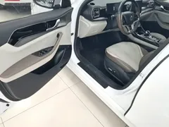 2023 BYD Qin PLUS Champion EV 510km, белый — фото 16
