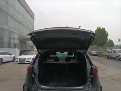 2024 BYD Tang PHEV DM-p Honor Edition 215km 4WD Premium, чёрный — фото 19