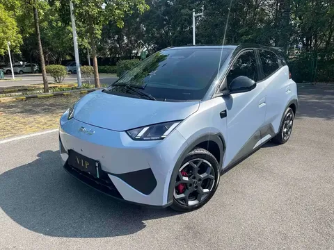 2025 BYD Seagull Smart Driving 305km Freedom
