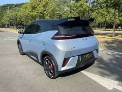 2025 BYD Seagull Smart Driving 305km Freedom — фото 4