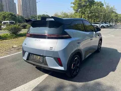 2025 BYD Seagull Smart Driving 305km Freedom — фото 6