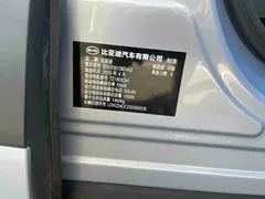 2025 BYD Seagull Smart Driving 305km Freedom — фото 13