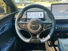 2025 BYD Seagull Smart Driving 305km Freedom — фото 16