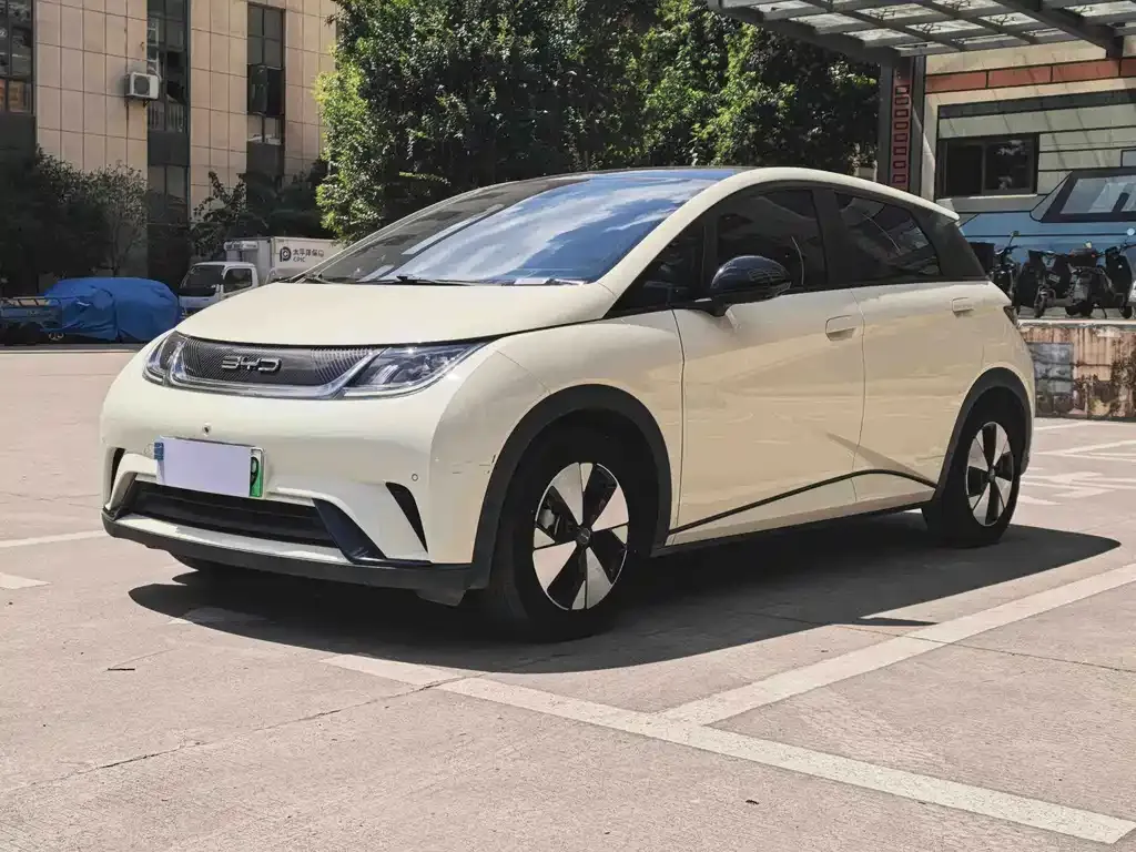 2023 BYD Dolphin 420km Fashion