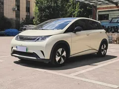2023 BYD Dolphin 420km Fashion — фото 1