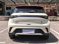 2023 BYD Dolphin 420km Fashion — фото 8