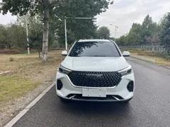 2021 Haval M6 Plus 1.5T MT Elite, белый — фото 2