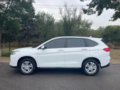 2021 Haval M6 Plus 1.5T MT Elite, белый — фото 11