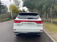 2021 Haval M6 Plus 1.5T MT Elite, белый — фото 13