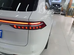 2021 Geely Monjaro 2.0TD DCT EVO 2WD Flagship, белый — фото 8