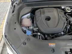 2021 Geely Monjaro 2.0TD DCT EVO 2WD Premium, белый — фото 19