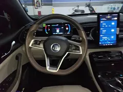 2023 BYD Qin PLUS Champion DM-i PHEV 55KM Leading — фото 6