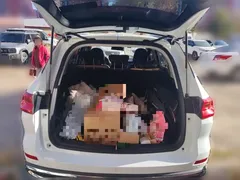 2021 Haval M6 Plus 1.5T DCT Luxury, белый — фото 20