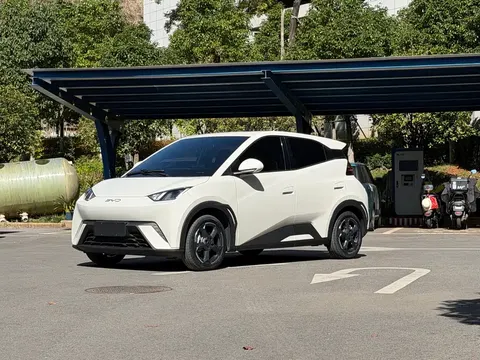 2024 BYD Seagull Honor 305km Vitality