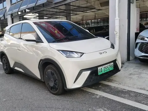 2025 BYD Seagull 305km Vitality